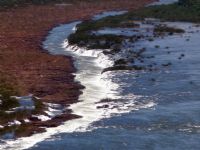 Full Day Saltos de Moconá