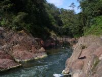Yungas y Parque Nacional El Rey