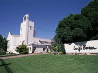 Mendoza, Vino y Oliva