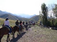 Cablgata Full Day Quebrada del Condor