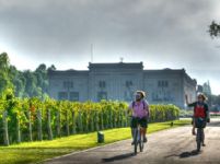 Vinos y Sabores de Maipu