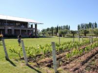 Experiencia Lujan de Cuyo