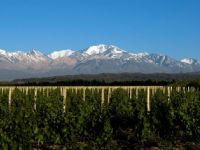 Experiencia Valle de Uco