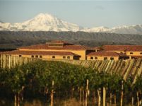 Mountain Bike por viñedos en Vistalba -  Luján de Cuyo