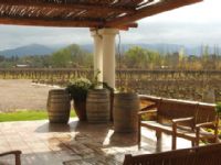 Cabalgata con Bodega y con Almuerzo en Luján de Cuyo 