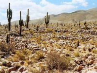 Pueblos y quebradas Multicolores. Coctaca y Hornocal.