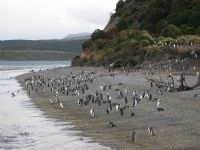 Día Completo Harberton con Pinguinera