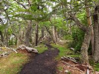 Día Completo Parque Nacional