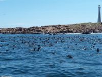 Navegacion Isla de los Lobos