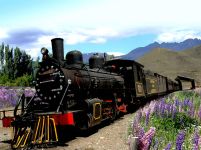 La Trochita, Viejo Expreso Patagónico