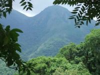 Parque Nacional Calilegua