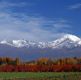 Mendoza