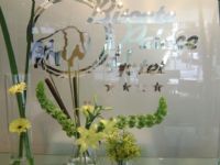 Bisonte Palace Hotel