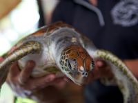 Le Meridien Bora Bora