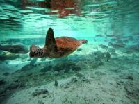 Le Meridien Bora Bora