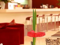 725 Continental hotel