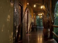 La Aldea de la Selva Lodge