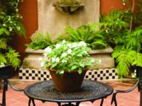 Hotel LoiSuites Arenales