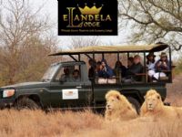 Elandela Game Reserve