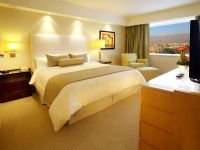 Intercontinental Mendoza