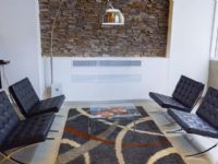 Amerian Puerto Rosario