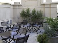 Esplendor Savoy Rosario