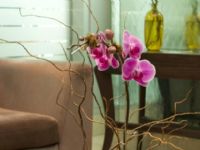 Eurobuilding Hotel Boutique