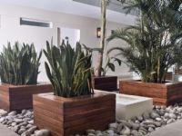 Nuss Buenos Aires Soho