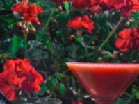 Nuss Buenos Aires Soho