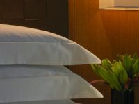 Park Hyatt Buenos Aires-palacio Duhau